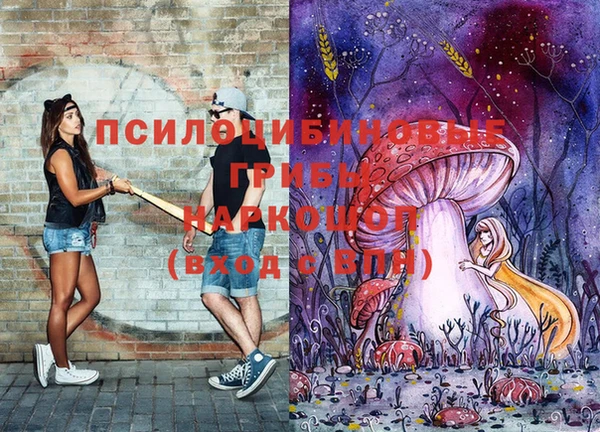 Альфа ПВП Краснослободск