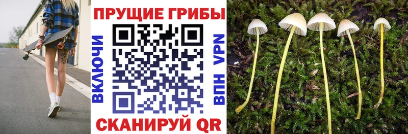 Псилоцибиновые грибы Magic Shrooms  Купить где  Ревда 